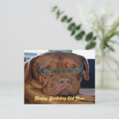 Happy Birthday Alte Hund drucken Postkarte (Stehend Vorderseite)