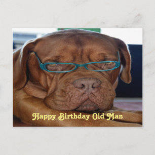 Happy Birthday Alte Hund drucken Postkarte