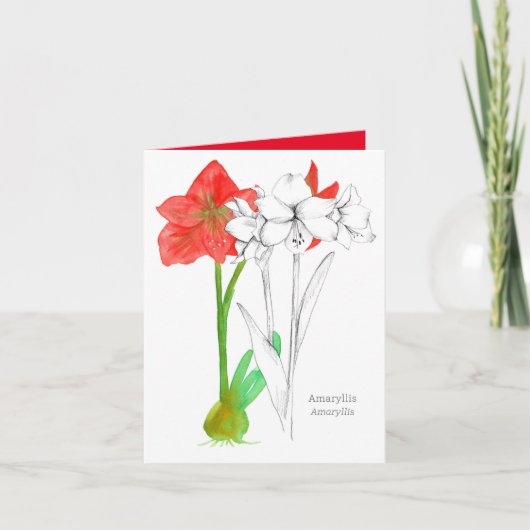 Happy Birthday Amaryllis Sprache der Blume Karte (Vorderseite)