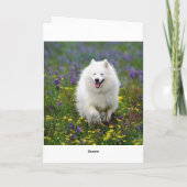 Happy Birthday American Eskimo Grußkarte Karte (Rückseite)