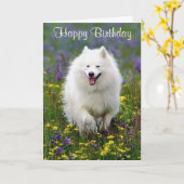 Happy Birthday American Eskimo Grußkarte Karte (Gelbe Blume)