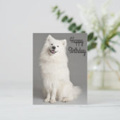 Happy Birthday American Eskimo Puppy Dog Postkarte (Stehend Vorderseite)
