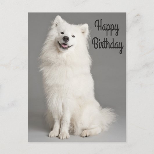 Happy Birthday American Eskimo Puppy Dog Postkarte (Vorderseite)