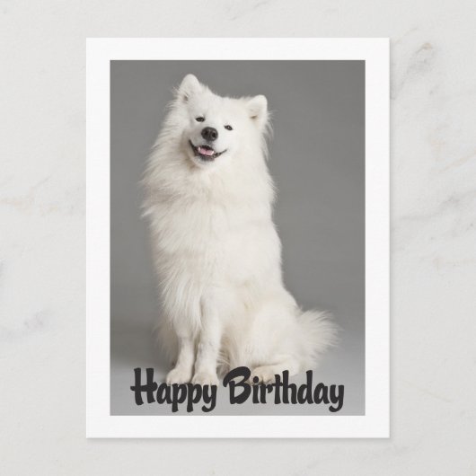 Happy Birthday American Eskimo Puppy Dog Postkarte (Vorderseite)