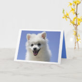 Happy Birthday American Eskimo Welpe Dog Card Karte (Gelbe Blume)