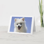 Happy Birthday American Eskimo Welpe Dog Card Karte (Rückseite)