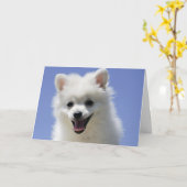 Happy Birthday American Eskimo Welpe Dog Card Karte (Gelbe Blume)