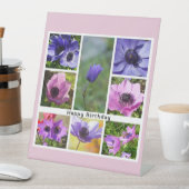 Happy Birthday Anemone Foto Collage Sockelschild (In Situ)