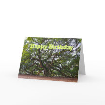 Happy Birthday Angel Oak South Carolina