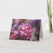 Happy Birthday Apple Blüten, Honey Bee Karte (Rückseite)