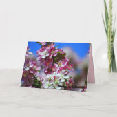 Happy Birthday Apple Blüten, Honey Bee Karte (Rückseite)