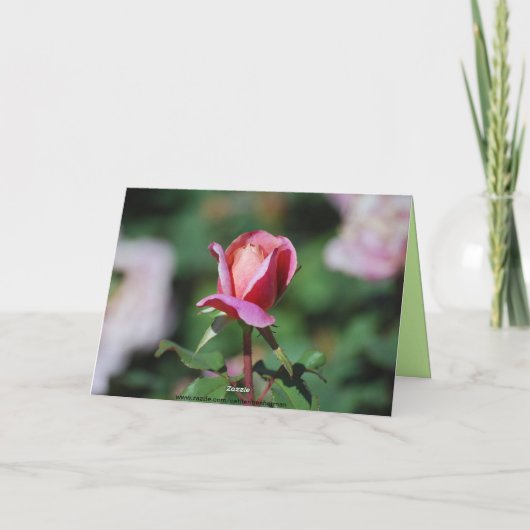 Happy Birthday Apricot & Lavender Rose Honeybee Karte (Rückseite)