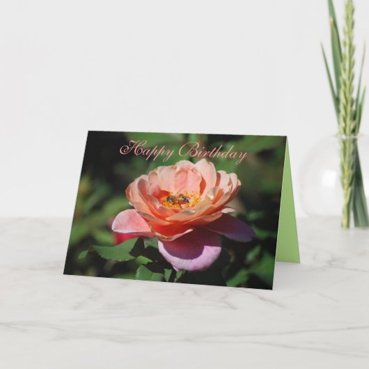 Happy Birthday Apricot & Lavender Rose Honeybee Karte (Vorderseite)