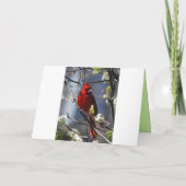 Happy Birthday Aunt Female Kardinal Karte (Rückseite)