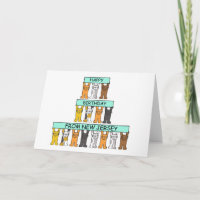 Happy Birthday aus New Jersey Niedliche Katzen