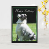 Happy Birthday Australian Shepherd greeting card Karte (Gelbe Blume)