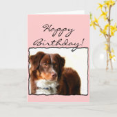 Happy Birthday Australian Shepherd greeting card Karte (Gelbe Blume)
