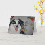Happy Birthday! Australian Shepherd Karte (Gelbe Blume)