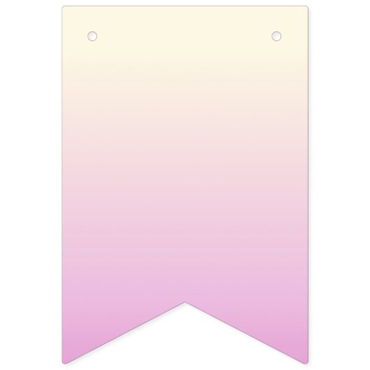 Happy Birthday Banner Ombre Beige Pink (Zweite Fahne)