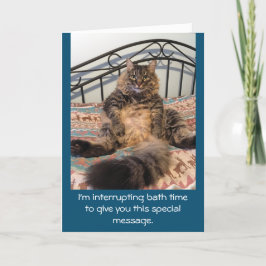 Happy Birthday Bath Time Kimber Cat Karte