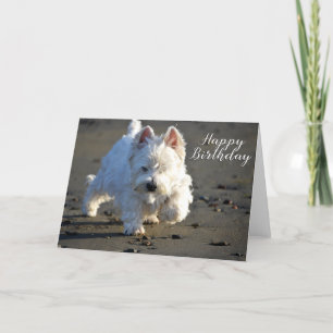 Happy Birthday Beachcombing Westie Foto Card Dankeskarte