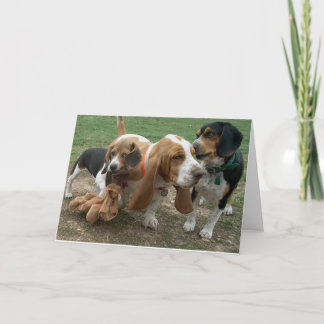 Happy Birthday Beagle Basset Hound Card Karte