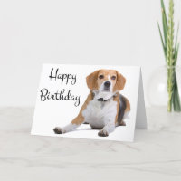 Happy Birthday Beagle Puppy Dog Grußkarte