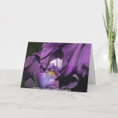 Happy Birthday Bearded Iris Card Karte (Rückseite)