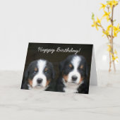 Happy Birthday Bernese Welpen Grußkarte Karte (Gelbe Blume)