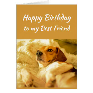 Happy Birthday Best Friend Funny Animals