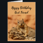 Happy Birthday Best Friend Funny Girl<br><div class="desc">Eine lustige Karte für Ihren fleißigen Best Friend,  der sie daran erinnert,  sich mit einem niedlichen entspannenden,  Chillout Eichhörnchen süße Tier zu entspannen.
Innenansicht: Und Sie wissen,  dass Sie auf Ihrem Geburtstag einfach nur entspannen und kühlen sollen,  oder?</div>