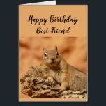 Happy Birthday Best Friend Funny Girl<br><div class="desc">Eine lustige Karte für Ihren fleißigen Best Friend,  der sie daran erinnert,  sich mit einem niedlichen entspannenden,  Chillout Eichhörnchen süße Tier zu entspannen.
Innenansicht: Und Sie wissen,  dass Sie auf Ihrem Geburtstag einfach nur entspannen und kühlen sollen,  oder?</div>