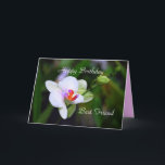 Happy Birthday Best Friend Phalaenopsis Orchid Car Karte<br><div class="desc">Die Familie Orchid ist eine morphologisch vielfältige und weit verbreitete Familie von Monocots in der Reihenfolge Asparagales, nach Wikipedia. Die Pflanze ist die größte Blütenfamilie , mit 21.950 bis 26.049 derzeit anerkannten Arten, die in 880 Gattungen vorkommen. Die Anzahl der Orchideen ist mehr als doppelt so hoch wie die Zahl...</div>