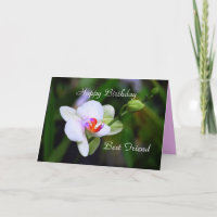 Happy Birthday Best Friend Phalaenopsis Orchid Car