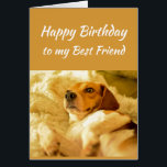 Happy Birthday Best Friend Real Age Spaß Fun Dog<br><div class="desc">Herzlichen Glückwunsch zum Geburtstag Bester Freund Funny Animals. Erinnern Sie sich,  ich kenne Ihr echtes Alter mit niedlich geschocktem Hund</div>