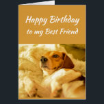 Happy Birthday Best Friend Real Age Spaß Fun Dog<br><div class="desc">Herzlichen Glückwunsch zum Geburtstag Bester Freund Funny Animals. Erinnern Sie sich,  ich kenne Ihr echtes Alter mit niedlich geschocktem Hund</div>