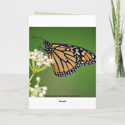 Happy Birthday Beth Monarch Butterfly Karte (Rückseite)