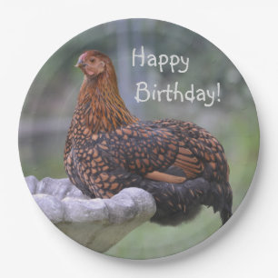 Happy Birthday Birdbad Hühnchen Pappteller