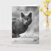 Happy Birthday Black Cat Karte (Gelbe Blume)