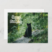Happy Birthday Black Cat Outdoor Postkarte (Vorne/Hinten)