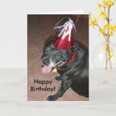 Happy Birthday Black Dog mit Red Hat Karte (Gelbe Blume)