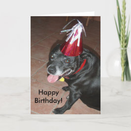 Happy Birthday Black Dog mit Red Hat Karte