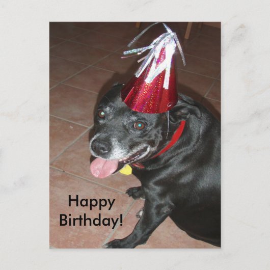 Happy Birthday Black Dog mit Red Hat Postkarte (Vorderseite)