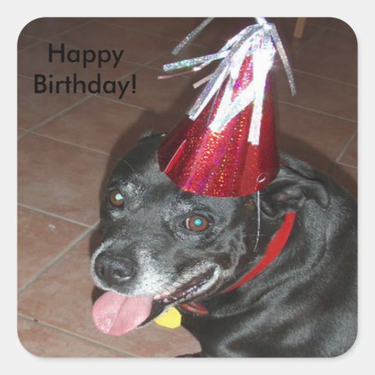 Happy Birthday Black Dog mit Red Hat Quadratischer Aufkleber (Vorderseite)