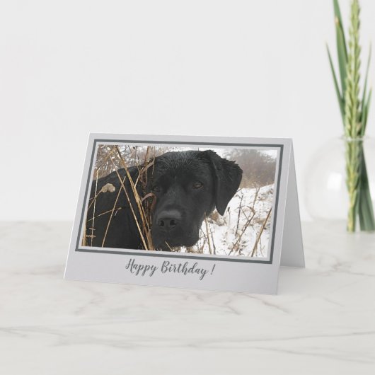 Happy Birthday Black Lab - Graues Enten Jagdhund Karte (Vorderseite)