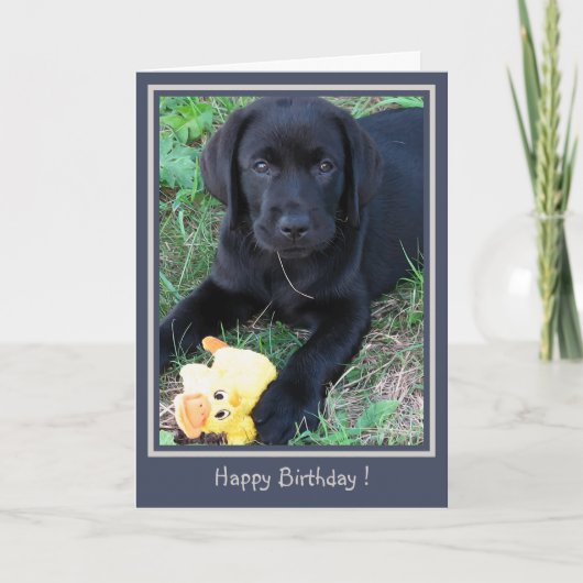Happy Birthday Black Lab Niedlicher Welpe Duck Dog Karte (Vorderseite)