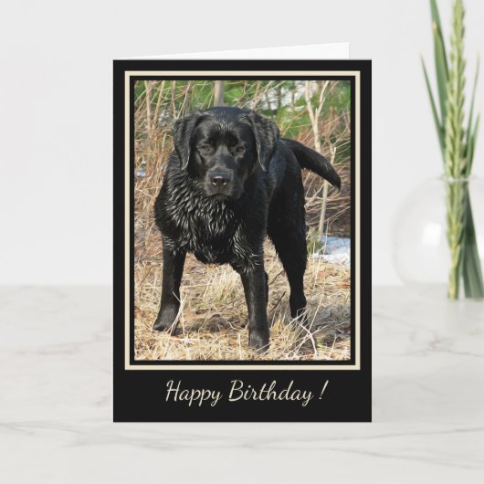 Happy Birthday Black Labrador - Entenjagd Hund Karte (Vorderseite)