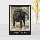 Happy Birthday Black Labrador - Entenjagd Hund Karte (Gelbe Blume)