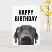 Happy Birthday | Black Labrador Karte (Gelbe Blume)