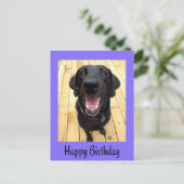 Happy Birthday Black Labrador Retriever Post Card Postkarte (Stehend Vorderseite)